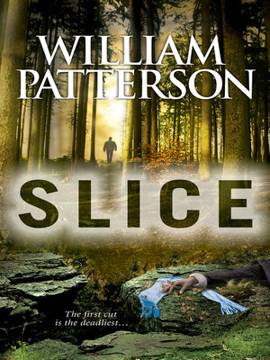 cover image of Slice